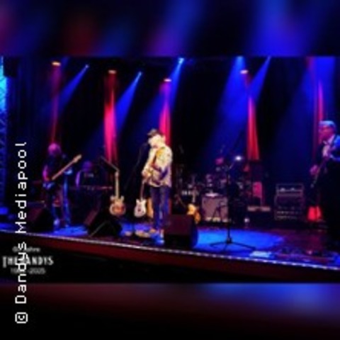 The Dandys - Mnster - 17.10.2025 21:00
