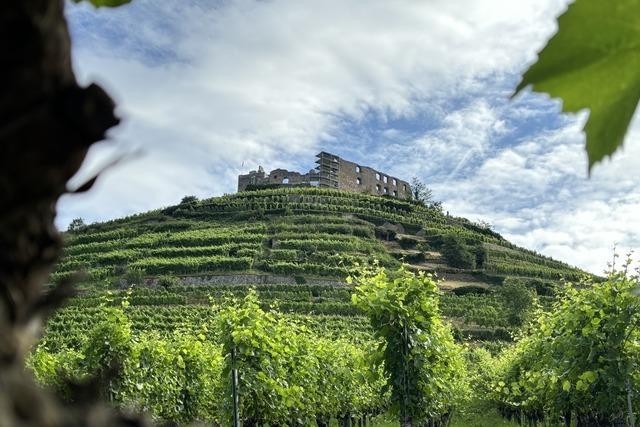 Staufener Hllbergrunde