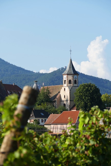 Weinpfad Les Perles du Vignoble - Mittelwihr