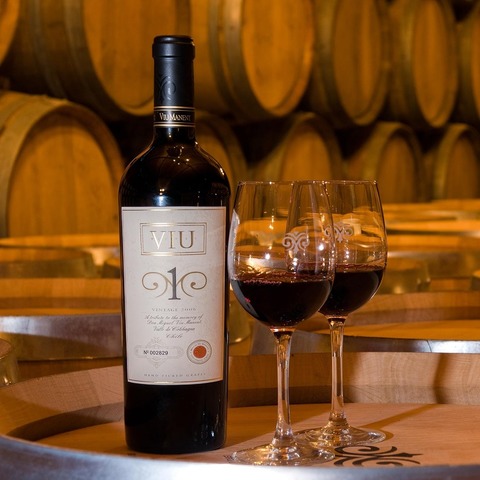 Weinseminar - Entdecke Chiles Weinwunder - Erlangen - 15.11.2025 17:00