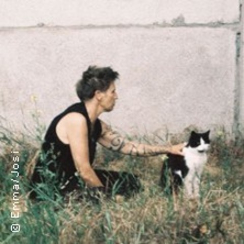 Lerne Tierkommunikation / Tages-Workshop mit Yvonne Fendel - BRANDENBURG AN DER HAVEL - 13.12.2025 10:00