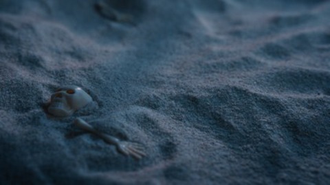 Eine Million Sandkrnchen - Freiburg - 14.08.2025 19:00