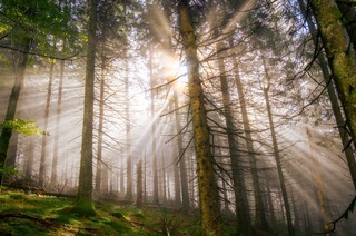 Sagenwanderung