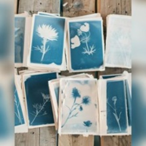 Paint with Sunlight - Cyanotype Workshop - BERLIN - 07.09.2025 13:00