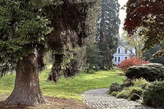 Die Welt der Fotografie gibt es im Stadtpark Lahr