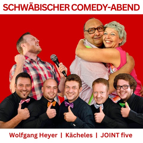 Schwbischer Comedy Abend zu 30 Jahre Skiclub Aichtal e.V. - Aichtal - 10.10.2026 20:00