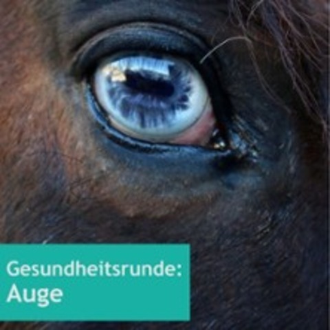 Pferde-Gesundheitsrunde: Auge - FRTH - 06.09.2025 15:00