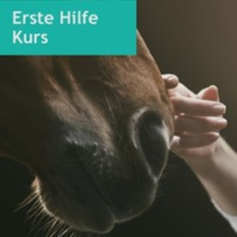 Pferde-Gesundheitsrunde: Erste Hilfe Kurs - FRTH - 27.09.2025 10:00