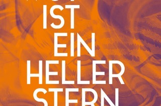 Die Wut ist ein heller Stern - Anja Kampmann