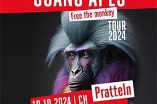 Guano Apes - Free The Monkey Tour 2024, 15.11.2025