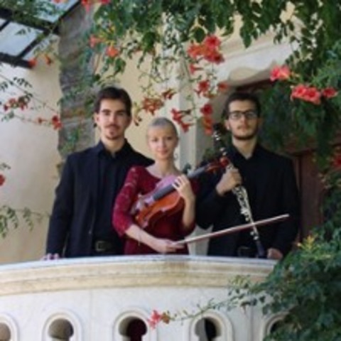 Aller Guten Dinge sind Drei - Konzert mit dem Trio Reinecke - LEIPZIG - 05.10.2025 14:00