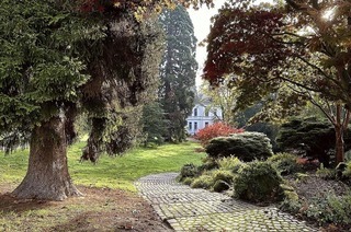 Im Lahrer Stadtpark gibt es einer groen Fotoaktion praktische Tipps und professionelle Shootings