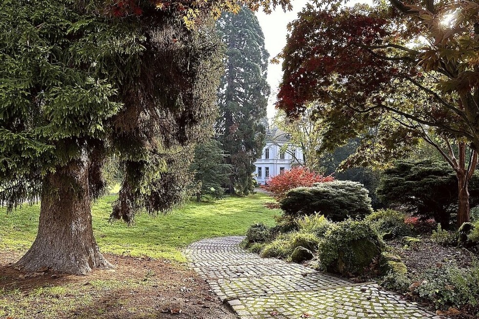 Im Lahrer Stadtpark gibt es einer groen Fotoaktion praktische Tipps und professionelle Shootings - Badische Zeitung TICKET