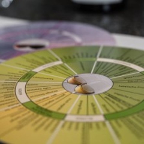 Weinseminar: Wein & Kse - Ludwigsburg - 20.09.2025 13:00