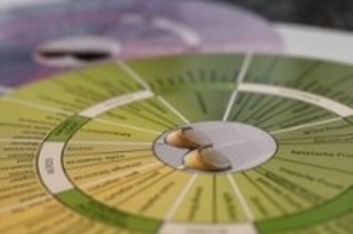 Weinseminar: Wein & Speise