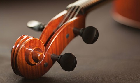 Ein musikalischer Blumenstrau - Riegel - 01.02.2026 11:00