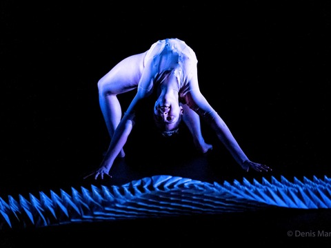 Petrikor Danse - Merzhausen - 21.09.2025 18:00