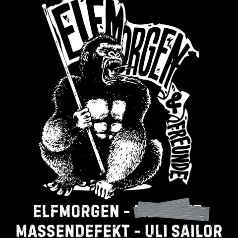 ELFMORGEN & FREUNDE Vol. 7 - Wiesbaden - 20.12.2025 18:00 ELFMORGEN & FREUNDE Vol. 7 - Wiesbaden - 20.12.2025 18:00