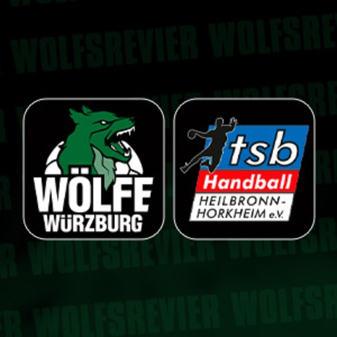 Wlfe Wrzburg vs. TSB Heilbronn-Horkheim - Wrzburg - 07.02.2026 19:30