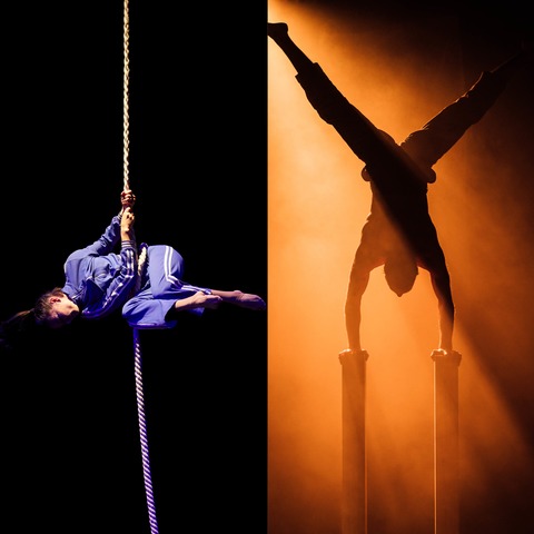 SHOW PONY / WILT AND SHINE - Zeitgenssischer Zirkus, zweiteiliger Abend - Ahaus - 18.03.2026 20:00