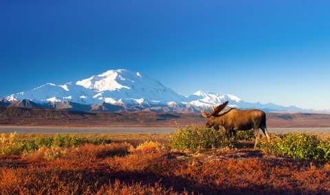 Alaska - Mnchenstein - 28.11.2025 19:30