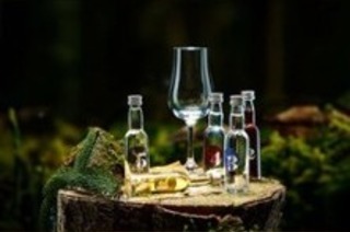 Gin Tasting