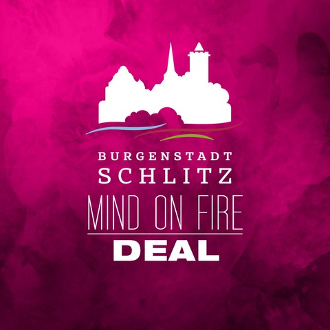 MIND ON FIRE FESTIVAL - Tageskarte - Schlitz-Deal - Schlitz - 13.08.2026 08:00