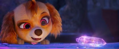 Paw Patrol: Der Mighty Kinofilm - Freiburg - 30.08.2025 11:00