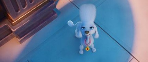 Paw Patrol: Der Mighty Kinofilm - Freiburg - 30.08.2025 11:00