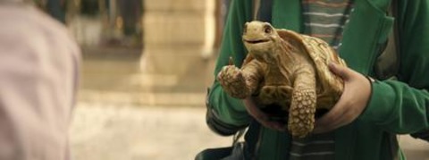 Die Schule der magischen Tiere 2 - Villingen-Schwenningen - 31.08.2025 14:00