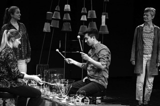 fringe ensemble - Der Wanderfalke