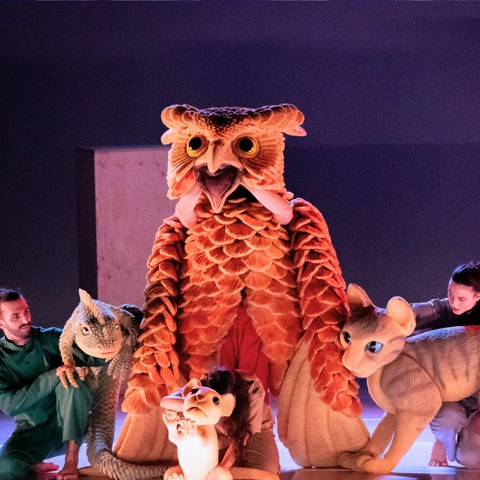 The Cat Who Wanted To Change Her Tale - Tanz-Puppen-Performance fr Kinder & Familien - Ulm - 23.11.2025 13:00