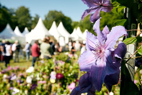 Gartenfestival Herrenhausen - Hannover - 22.05.2026 10:00