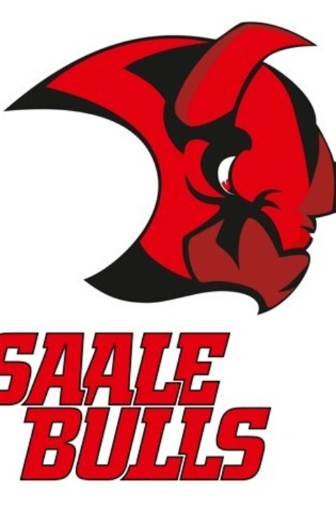 Herforder EV - Saale Bulls Halle - Herford - 25.01.2026 18:30
