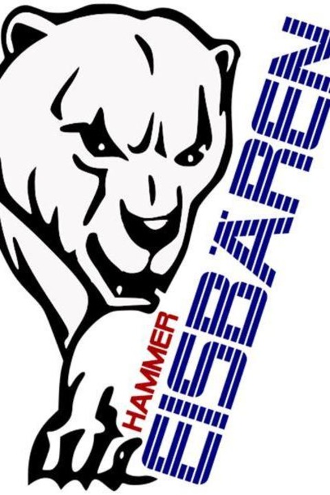 Hannover Scorpions - Hammer Eisbren - Wedemark - 17.10.2025 20:00
