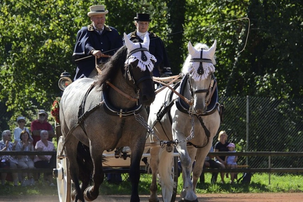 Am Sonntag, 7. September und Montag, 8. September, findet der Rossmrt ab 10 Uhr auf dem Sportplatzgelnde "In der Au" in Kandern statt. - Badische Zeitung TICKET