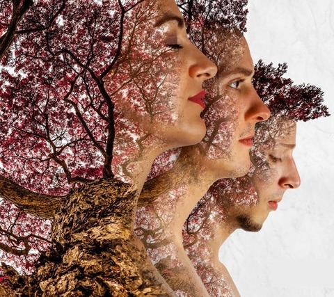 Heirs to the Wild - Poetic Indie - Freiburg - 24.01.2026 20:00