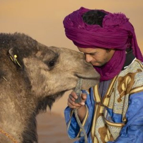 Marokko - Farbig, faszinierend, orientalisch - Bad Waldsee - 22.01.2026 19:30