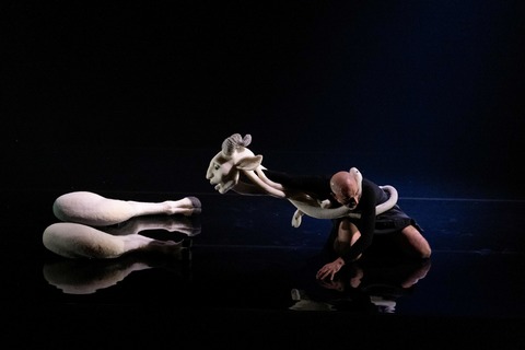 IMPOSTOR - Potsdam - 08.11.2025 19:45