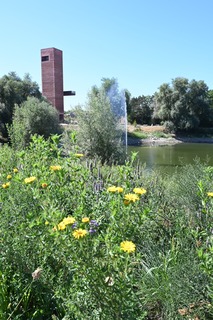 Stadt, Park und Rhein - Neuenburg - 07.09.2025 15:00