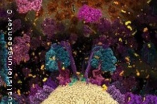 Die Chemie des Lebens – Das Unsichtbare in uns 3D