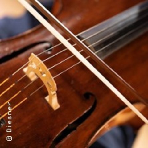 Violine con Fantasia - DSSELDORF - 22.11.2025 15:30
