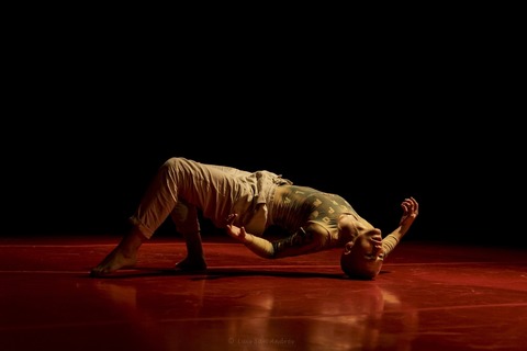 PLATFORM 14: Der zweite Abend - Berlin - 26.09.2025 19:00