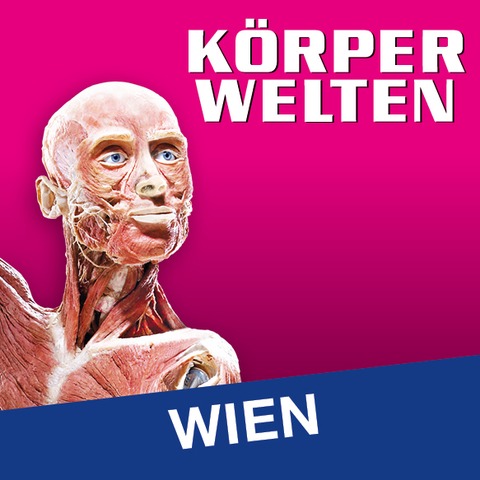 KRPERWELTEN | Wien | Zeitfensterticket - Wien - 23.01.2026 09:00