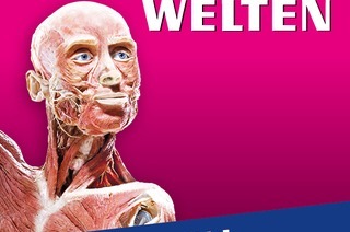 KRPERWELTEN | Wien | Zeitfensterticket