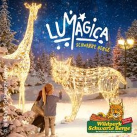 LUMAGICA Schwarze Berge - ROSENGARTEN - 23.01.2026 17:30