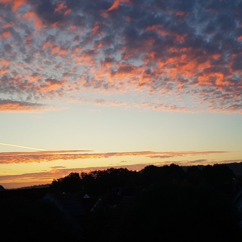 Blaue Stunde im Oktober - Mannheim - 07.10.2025 18:30