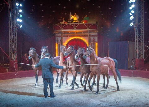 Ulmer Weihnachtscircus - Vorpremiere zugunsten der Aktion 100 000 - Ulm - 18.12.2025 14:00