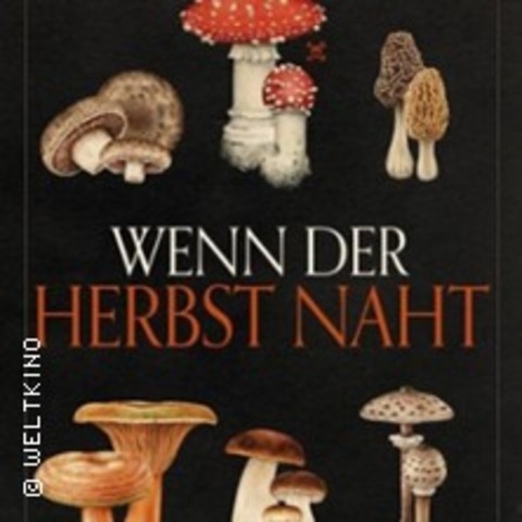 Wenn der Herbst naht - Offenbach - 10.10.2025 19:30