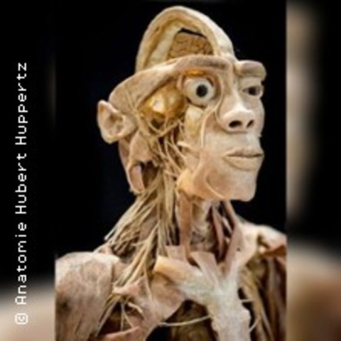 Ausstellung: ECHTE KRPER - Emden - 21.09.2025 11:00